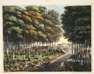 モンサンジャンの村の遠景を望むソワネの森のスカート